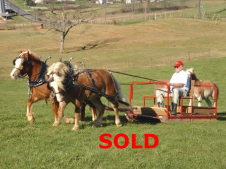Dixie (to driver's right)