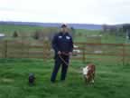 Some photos of our 2006 calves