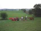 Summertime sleigh ride