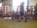 2006 Rockingham County Fair