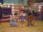 2006 Rockingham County Fair